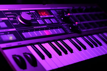 Sample - Vintage Analog Synth Keyboard