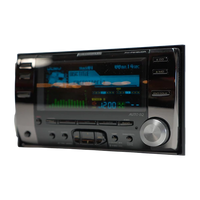 Pioneer